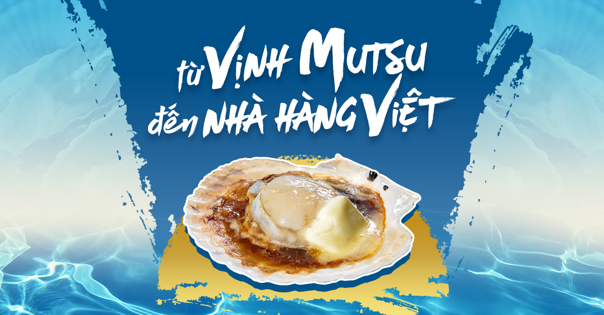 Từ vùng biển Aomori đến nhà hàng Việt – Hành trình của loại sò điệp thượng hạng